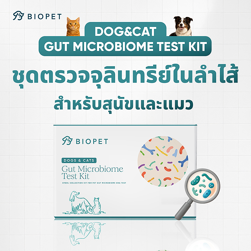 Pet Gut Microbiome Test - Image 2