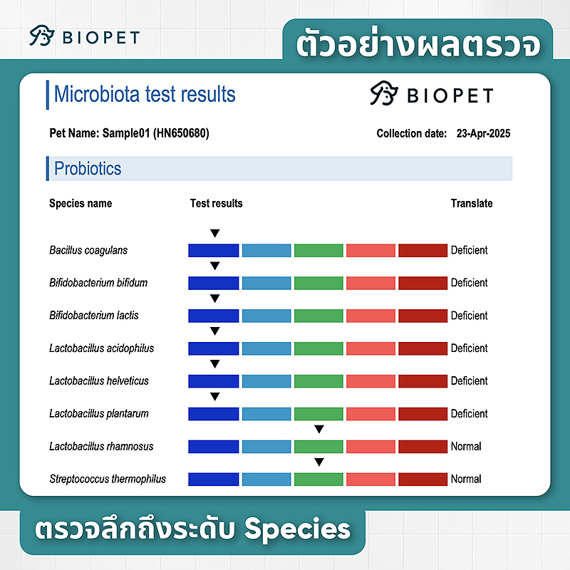 Pet Gut Microbiome Test - Image 5
