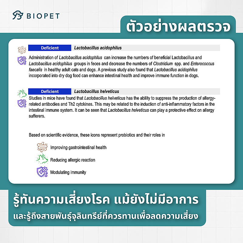 Pet Gut Microbiome Test - Image 6