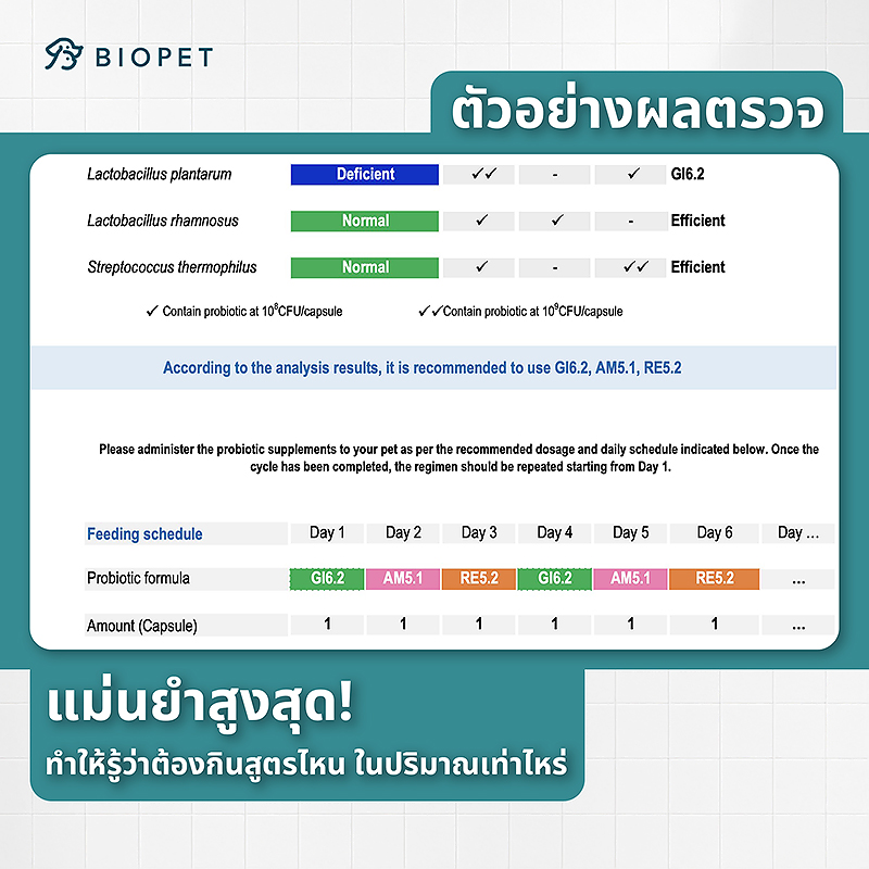 Pet Gut Microbiome Test - Image 7