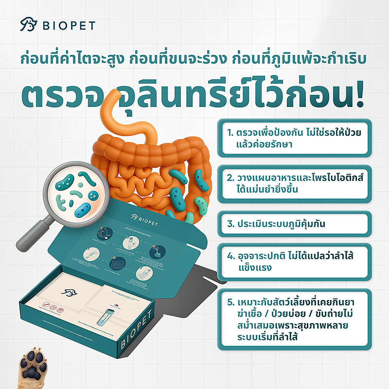 Pet Gut Microbiome Test - Image 4