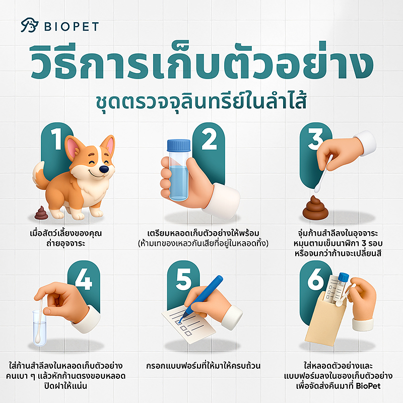 Pet Gut Microbiome Test - Image 3